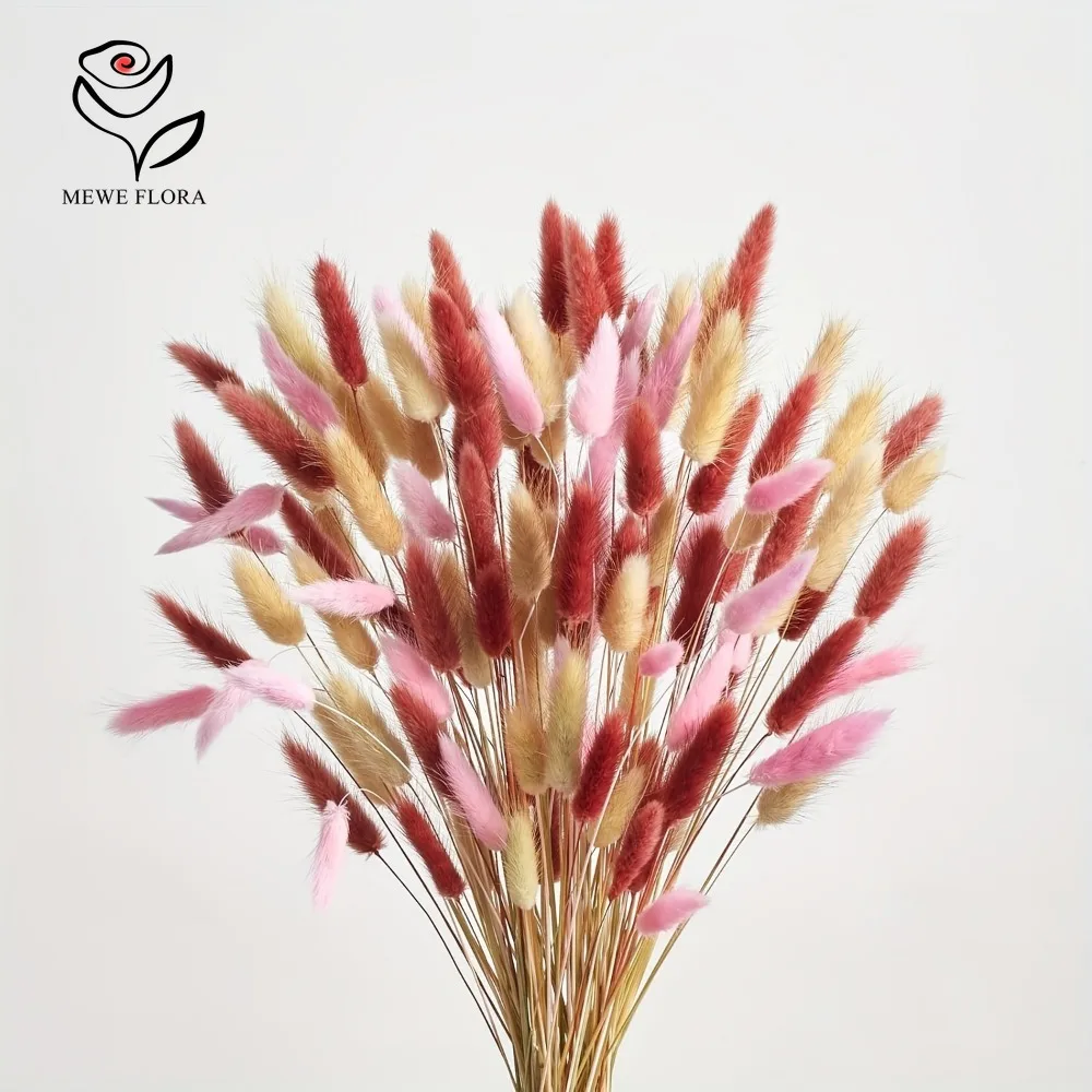 Dried Pampas Bundle - 90 ชิ้นผสม 3 สีกระต่ายหางดอกไม้ Pampas Grass