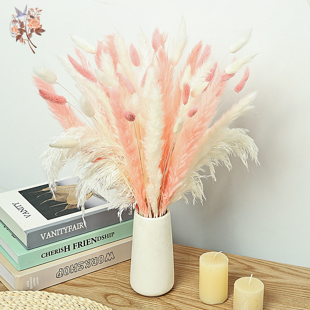Dried Pampas Bundle - 62 ชิ้นสีขาว Reeds สีชมพูหางกระต่ายหญ้าช่อดอกไม้ Nordic บ้านดอกไม้ตกแต่งธรรมชาติ