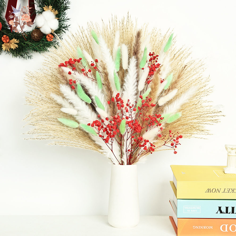 Dried Pampas Bundle - ช่อดอกหญ้าแพมพัสสีเขียวแดงฟูฟ่อง 70 ก้าน ดอกไม้แห้งสำหรับตกแต่งคริสต์มาส จัดดอกไม้ตกแต่งบ้าน จัดโต๊ะกลาง