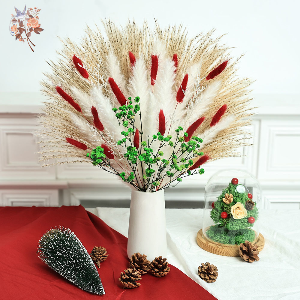 Dried Pampas Bundle - ช่อดอกไม้แห้ง 55 ชิ้น สำหรับตกแต่งคริสต์มาส ตกแต่งภายในบ้าน หญ้าแพมพัสธรรมชาติฟูฟ่อง