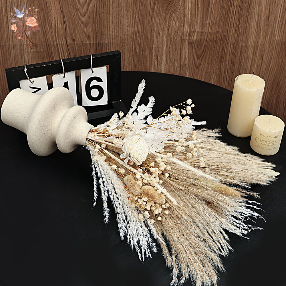 40 ชิ้นแห้ง Pampas Reeds ใบปาล - Dried Pampas Bundle บทวิจารณ์และราคา