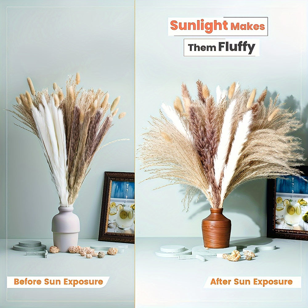 ช่อดอกไม้แห้งธรรมชาติผสมผสาน แ - Dried Pampas Bundle บทวิจารณ์และราคา