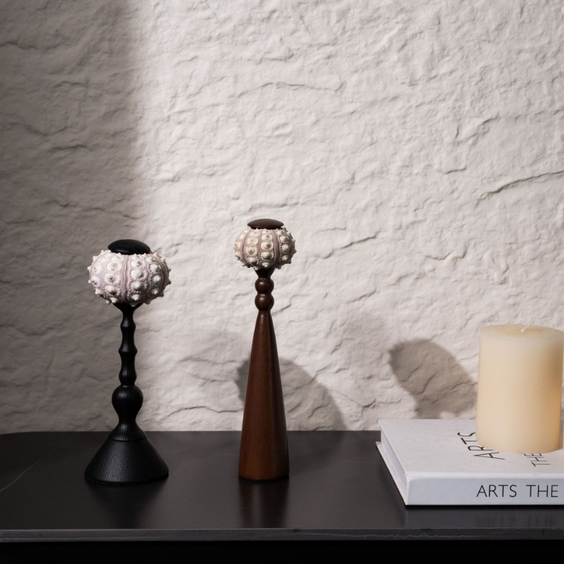 Creative Conch ประติมากรรม Han - Interior Design Exhibition บทวิจารณ์และราคา