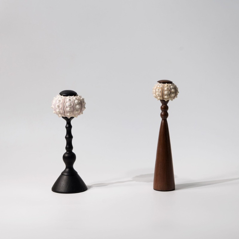 Creative Conch ประติมากรรม Han - Interior Design Exhibition บทวิจารณ์และราคา