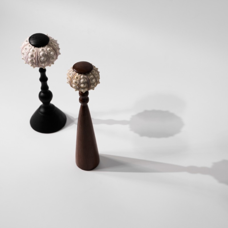 Creative Conch ประติมากรรม Han - Interior Design Exhibition บทวิจารณ์และราคา