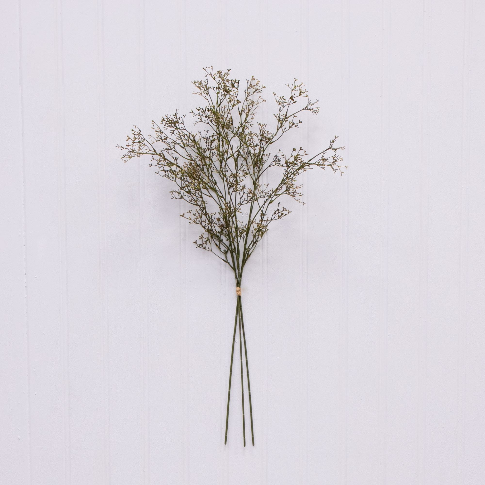 ก้านข้าวแห้งประดิษฐ์สำหรับตกแต - Dried Pampas Bundle บทวิจารณ์และราคา