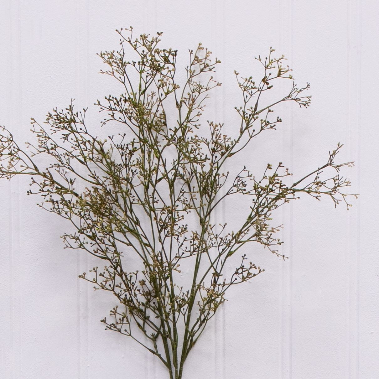 ก้านข้าวแห้งประดิษฐ์สำหรับตกแต - Dried Pampas Bundle บทวิจารณ์และราคา