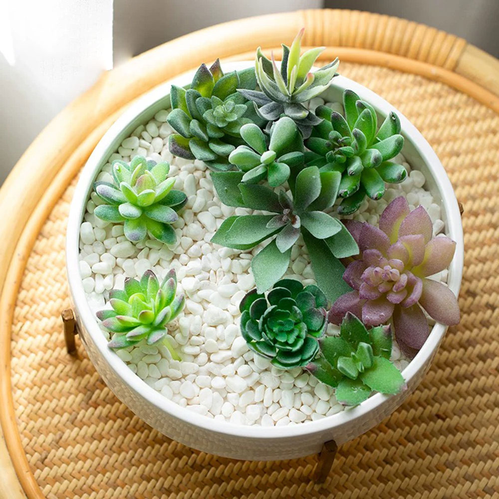 แม่พิมพ์ซิลิโคนสำหรับกระถางดอก - Terrazzo Pot Cement บทวิจารณ์และราคา