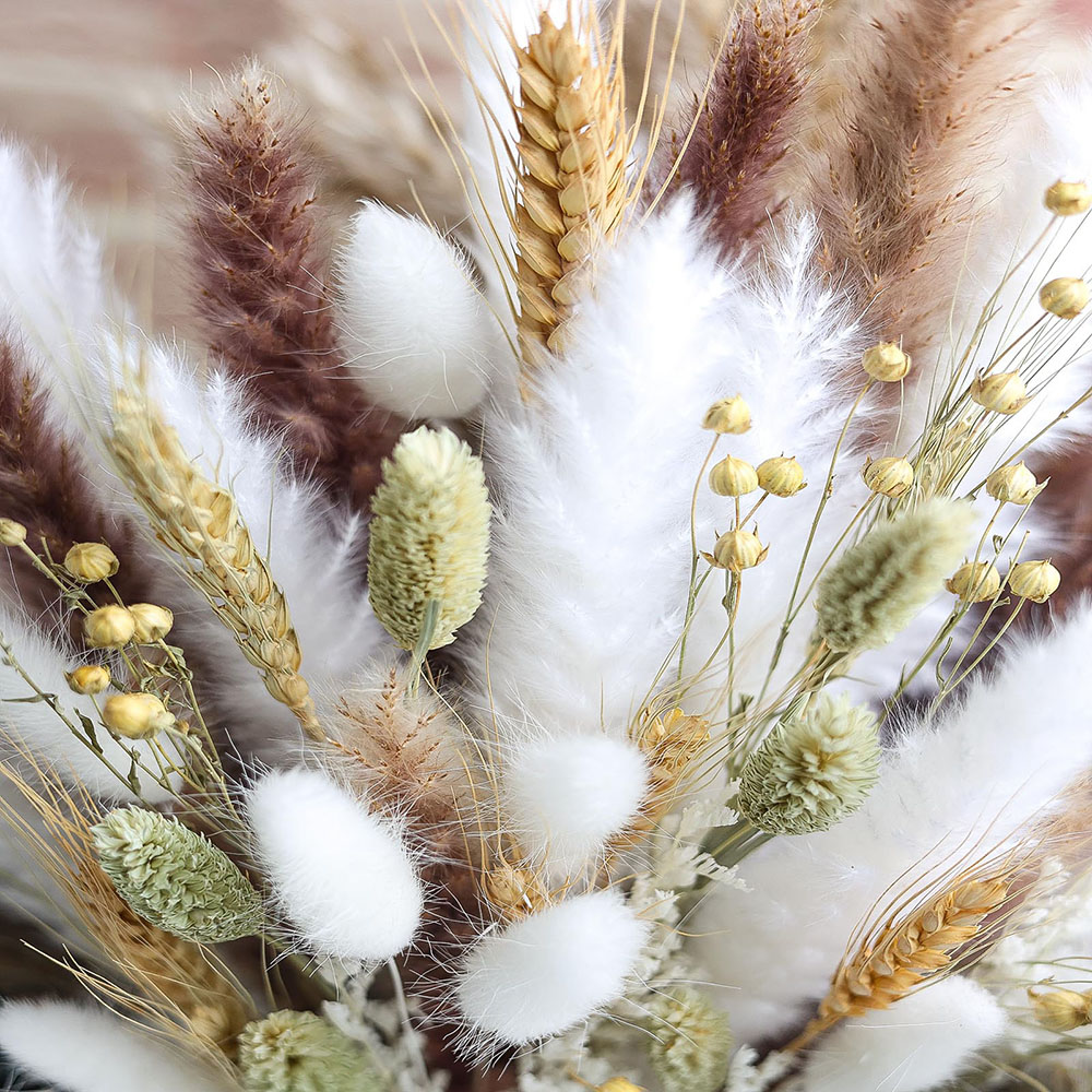 ช่อดอกหญ้าแพมพัสแห้ง 100 ชิ้น  - Dried Pampas Bundle บทวิจารณ์และราคา
