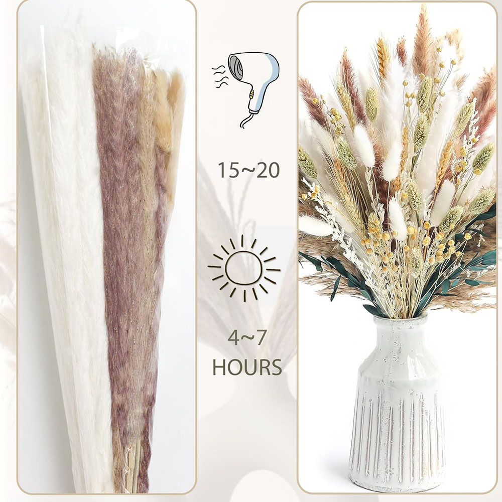 ช่อดอกหญ้าแพมพัสแห้ง 100 ชิ้น  - Dried Pampas Bundle บทวิจารณ์และราคา