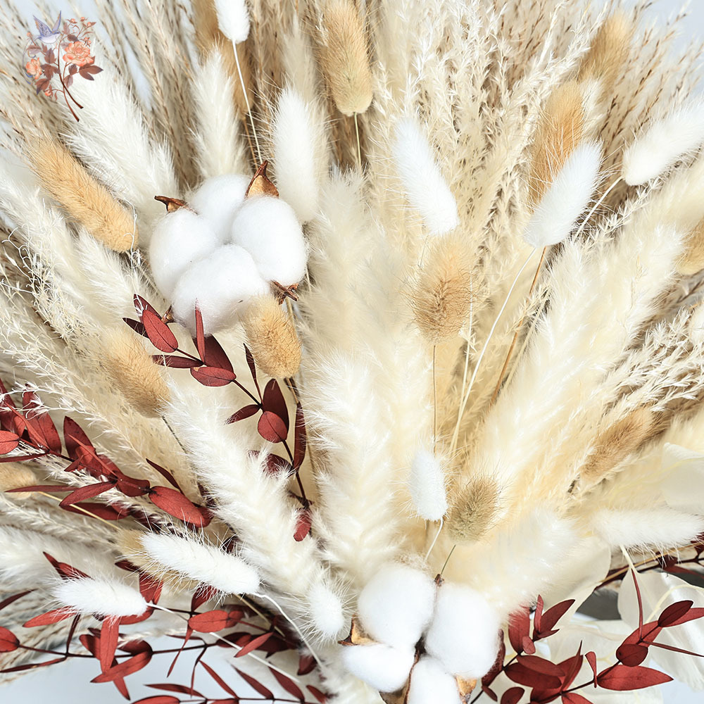 ช่อดอกแพมพัสแห้ง 70 ชิ้น ช่อดอ - Dried Pampas Bundle บทวิจารณ์และราคา