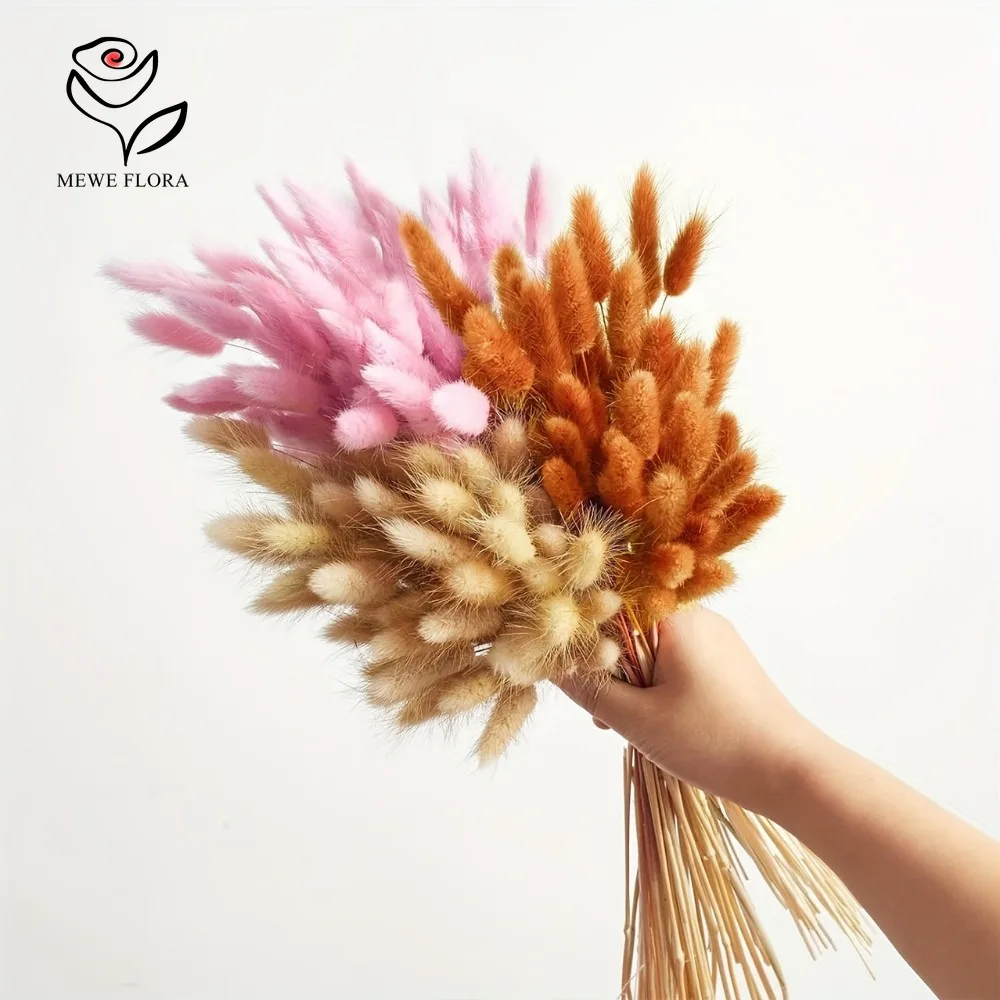 90 ชิ้นผสม 3 สีกระต่ายหางดอกไม - Dried Pampas Bundle บทวิจารณ์และราคา