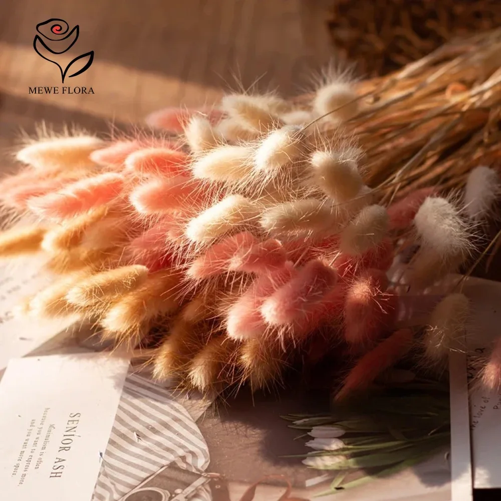 90 ชิ้นผสม 3 สีกระต่ายหางดอกไม - Dried Pampas Bundle บทวิจารณ์และราคา