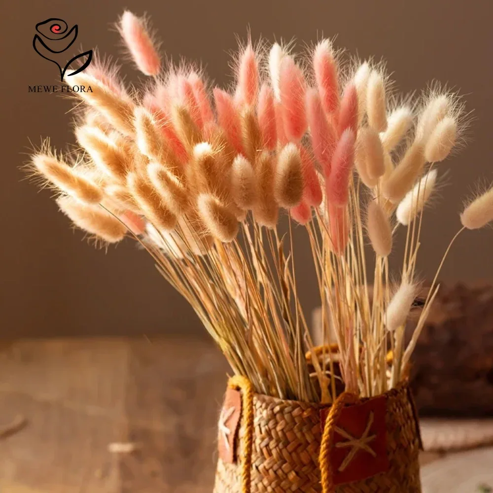 90 ชิ้นผสม 3 สีกระต่ายหางดอกไม - Dried Pampas Bundle บทวิจารณ์และราคา
