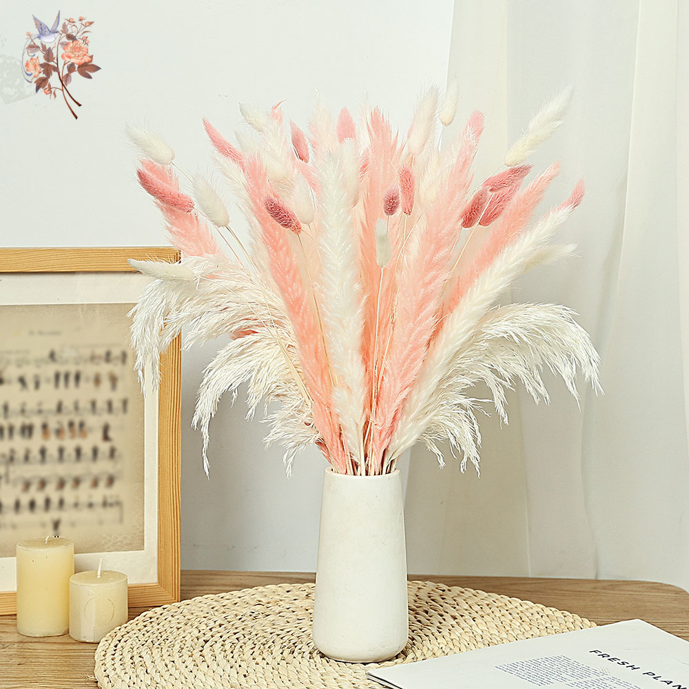 62 ชิ้นสีขาว Reeds สีชมพูหางกร - Dried Pampas Bundle บทวิจารณ์และราคา