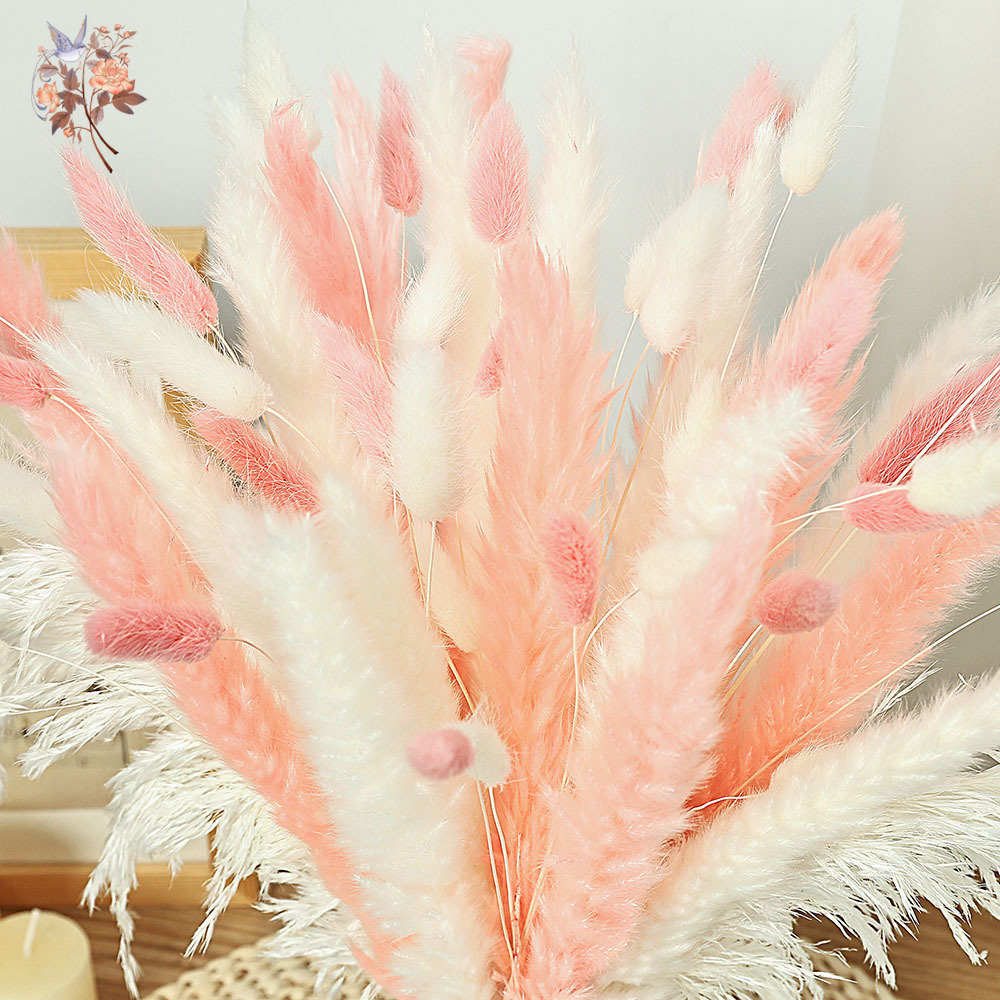 62 ชิ้นสีขาว Reeds สีชมพูหางกร - Dried Pampas Bundle บทวิจารณ์และราคา