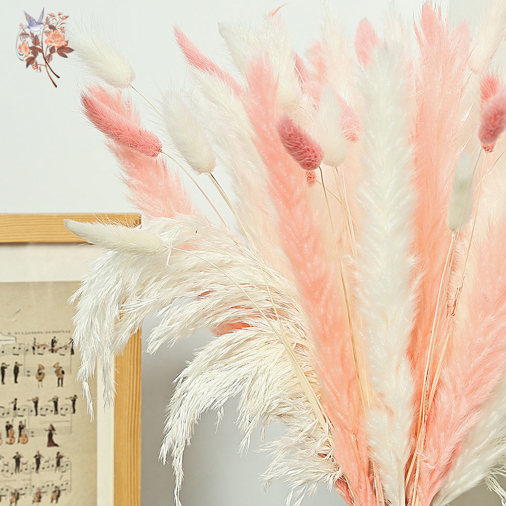 62 ชิ้นสีขาว Reeds สีชมพูหางกร - Dried Pampas Bundle บทวิจารณ์และราคา