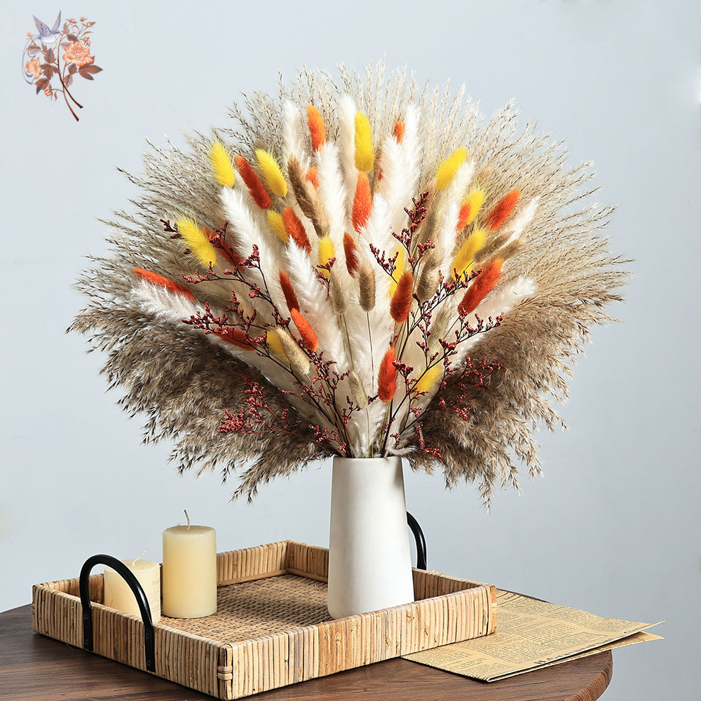 85 ชิ้นธรรมชาติปุยฤดูใบไม้ร่วง - Dried Pampas Bundle บทวิจารณ์และราคา