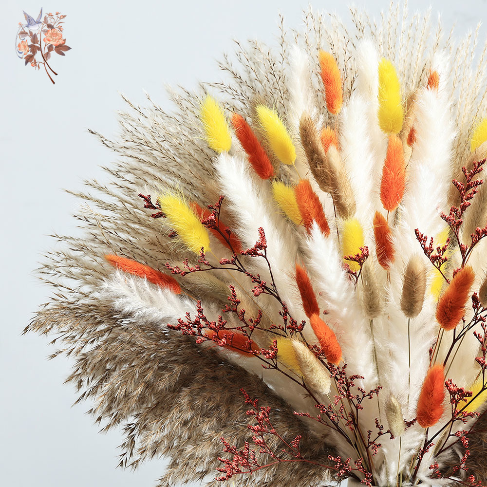 85 ชิ้นธรรมชาติปุยฤดูใบไม้ร่วง - Dried Pampas Bundle บทวิจารณ์และราคา