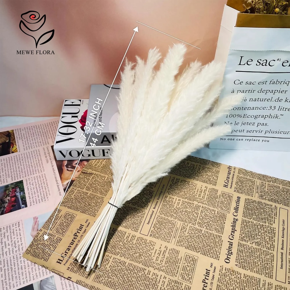 หญ้าแพมพัสฟูฟี่ 20 ชิ้น ช่อดอก - Dried Pampas Bundle บทวิจารณ์และราคา
