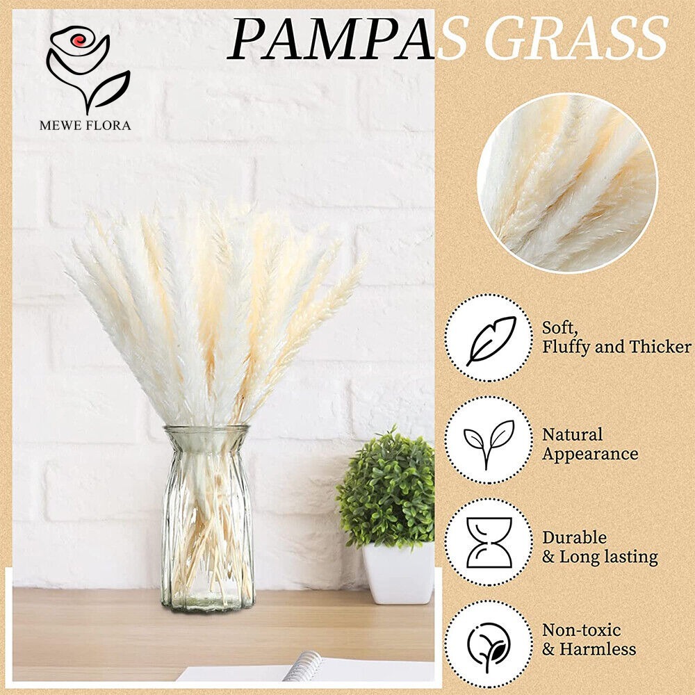 หญ้าแพมพัสฟูฟี่ 20 ชิ้น ช่อดอก - Dried Pampas Bundle บทวิจารณ์และราคา