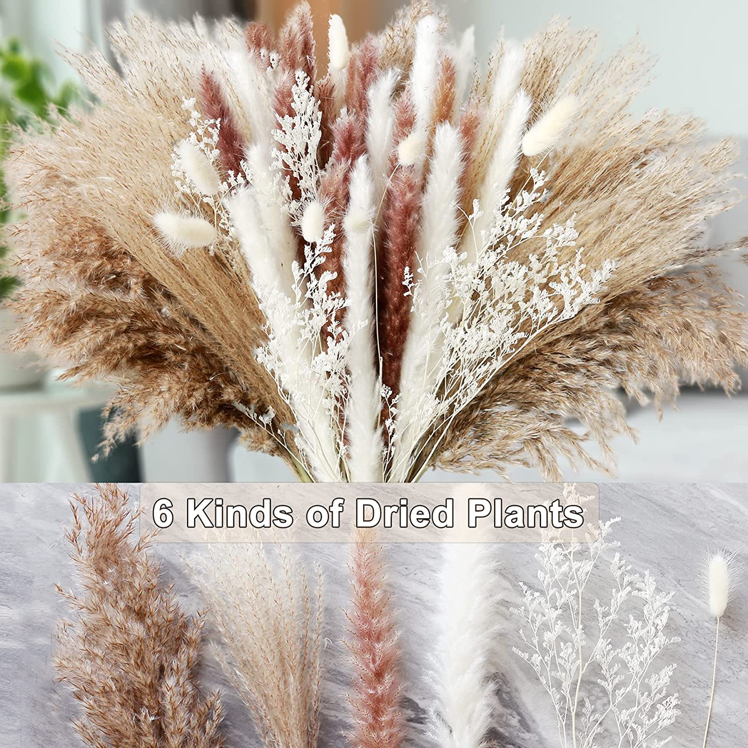 ของตกแต่งบ้าน ดอกไม้แห้ง พืชแห - Dried Pampas Bundle บทวิจารณ์และราคา