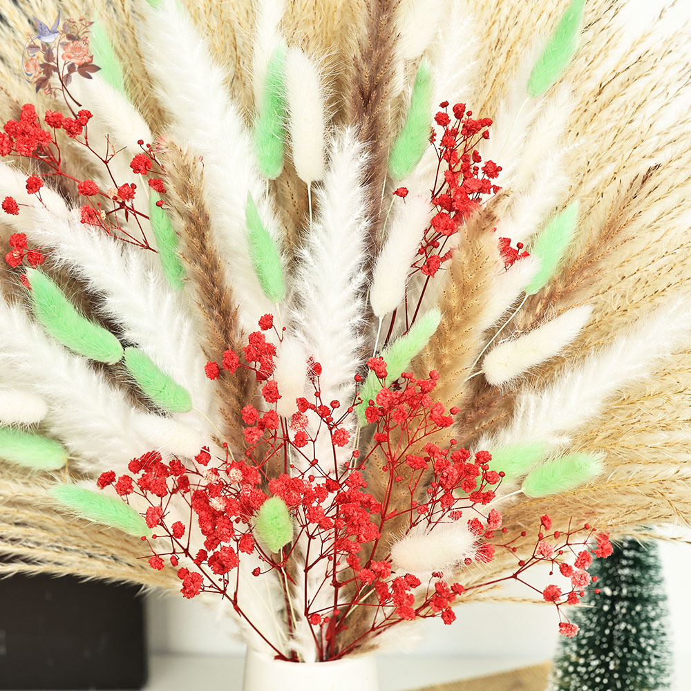 ช่อดอกหญ้าแพมพัสสีเขียวแดงฟูฟ่ - Dried Pampas Bundle บทวิจารณ์และราคา