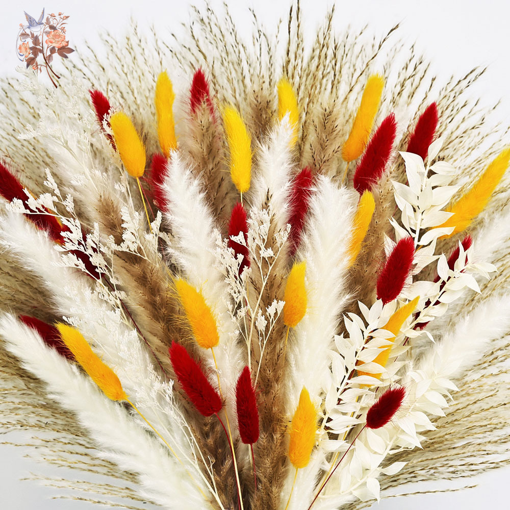ดอกแพมพัสแห้งแบบธรรมชาติ 70 ช่ - Dried Pampas Bundle บทวิจารณ์และราคา