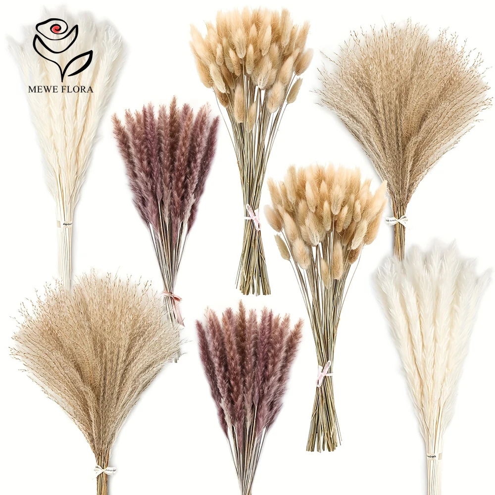 200 PCS แห้ง Pampas กระต่ายหาง - Dried Pampas Bundle บทวิจารณ์และราคา