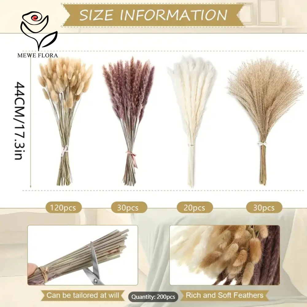 200 PCS แห้ง Pampas กระต่ายหาง - Dried Pampas Bundle บทวิจารณ์และราคา